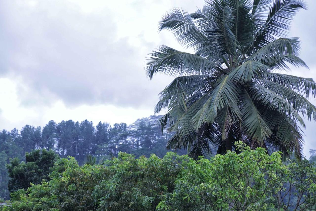 Mount River View Kandy Zewnętrze zdjęcie