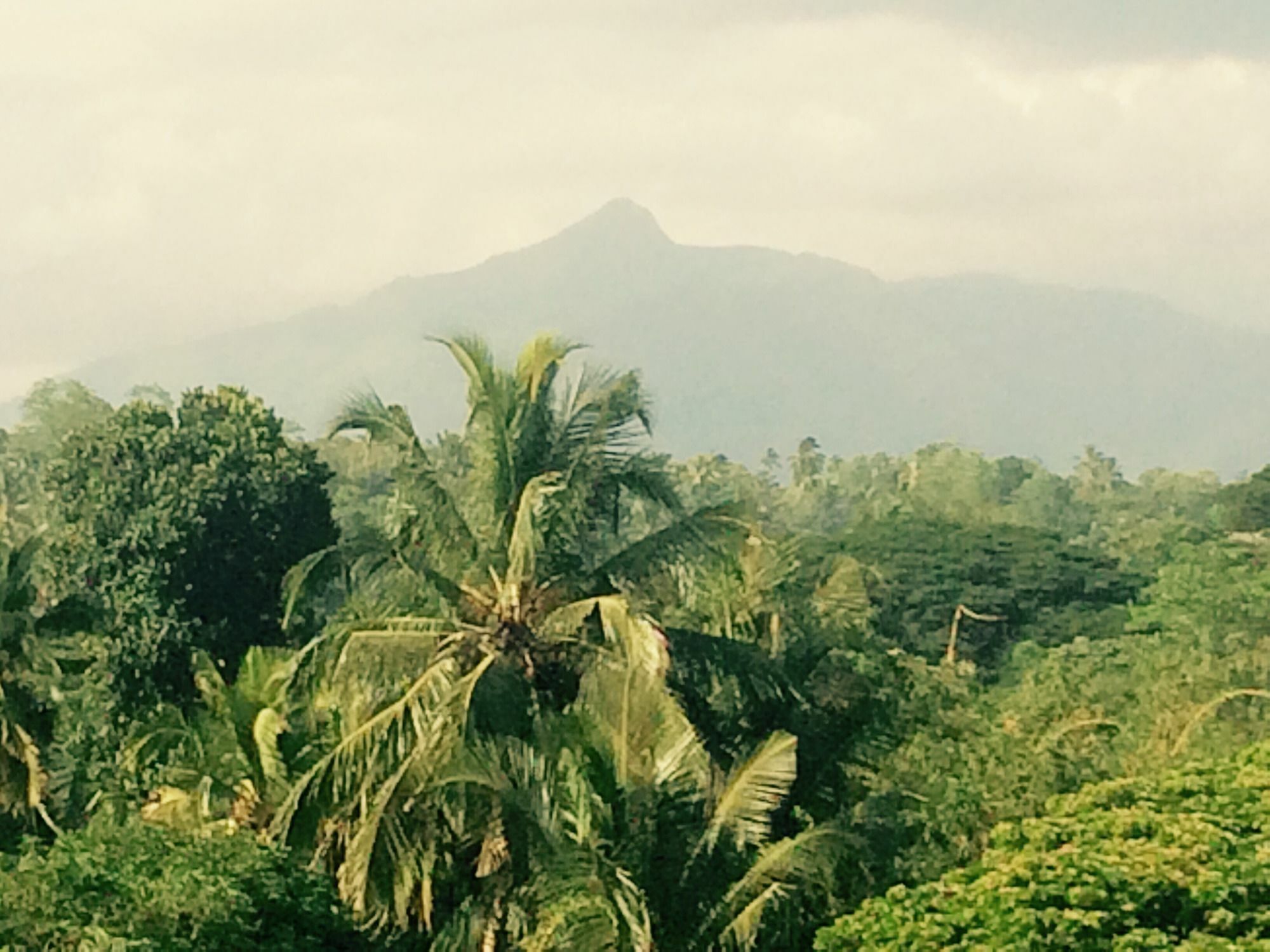 Mount River View Kandy Zewnętrze zdjęcie